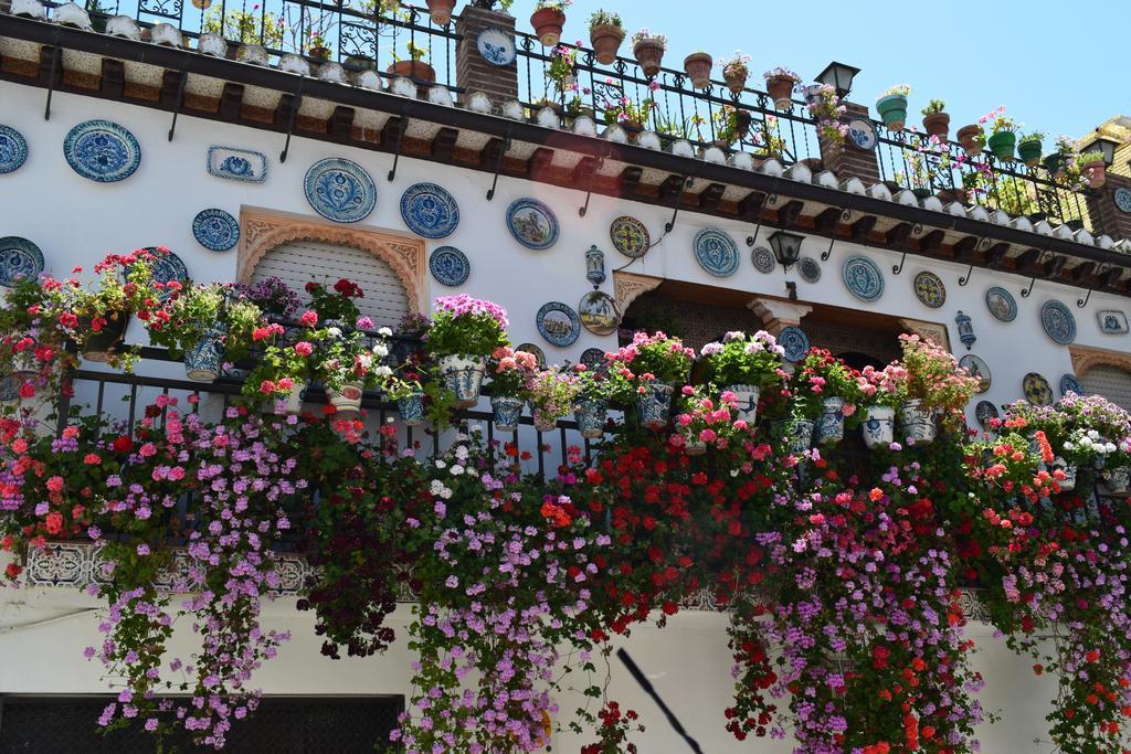 Carmen De Ramilla, Encantadora Guesthouse Con Piscina Soleada Granada Exterior foto
