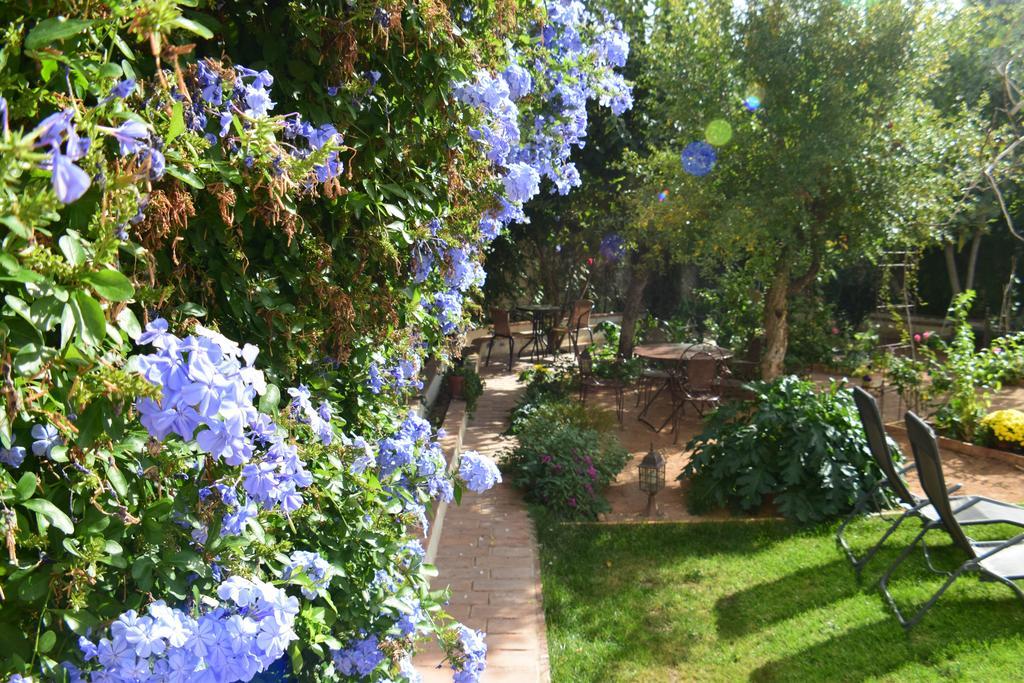 Carmen De Ramilla, Encantadora Guesthouse Con Piscina Soleada Granada Exterior foto